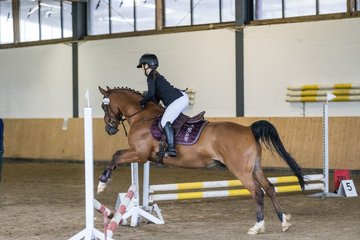 Bild 86 - Pony Akademie Turnier